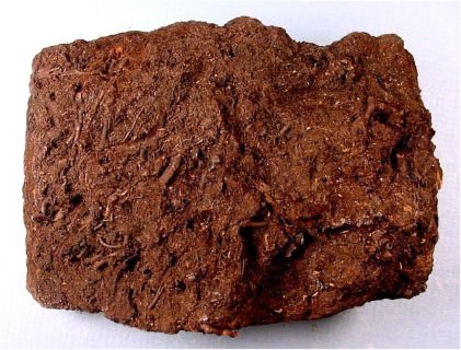زغالسنگ پیت